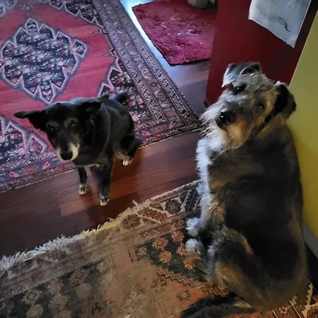 Bondi Alojamento de Acomodação e Pequeno-almoço