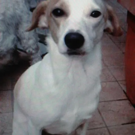 Alojamento de Acomodação e Pequeno-almoço Bondi 3*