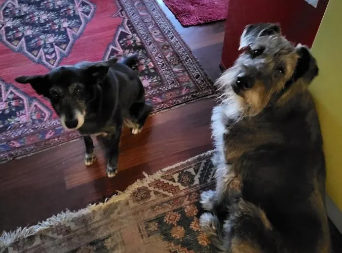 Bondi 住宿加早餐酒店