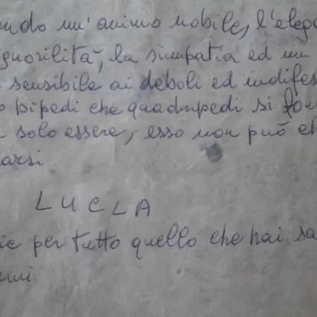 Bondi Отель типа 