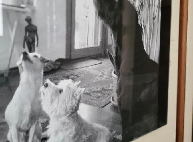 فندق مبيت وإفطار Bondi رافيننا