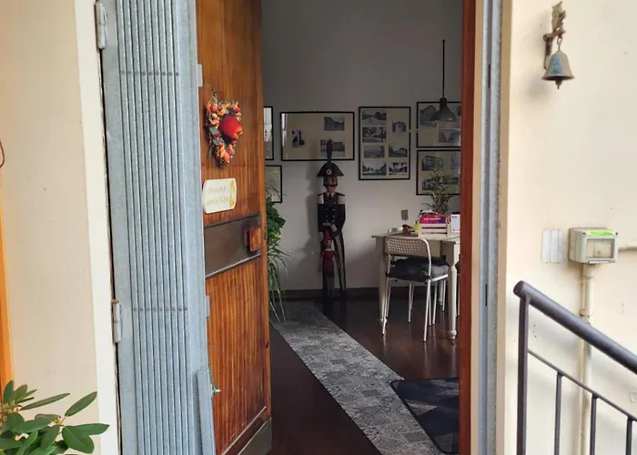 Bondi رافيننا