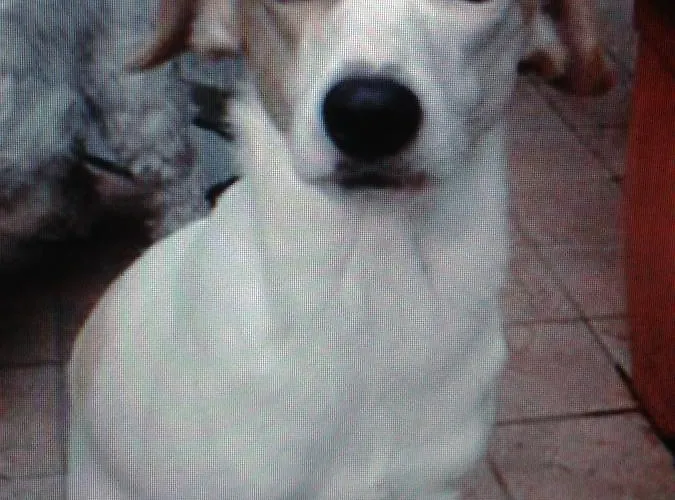 فندق مبيت وإفطار Bondi 3*