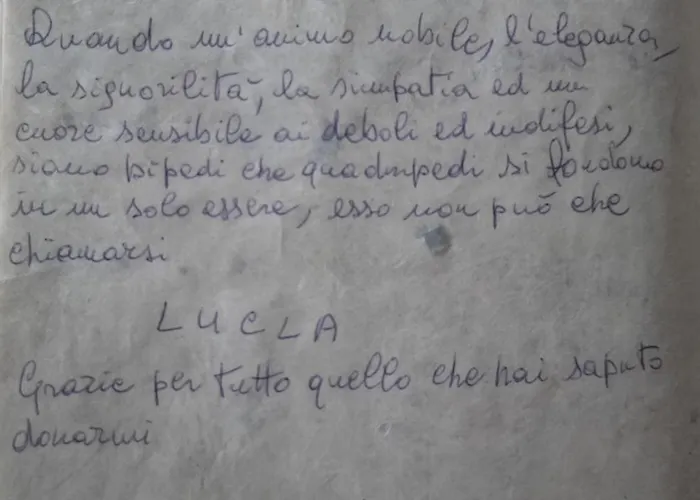 Bondi Bed and breakfast